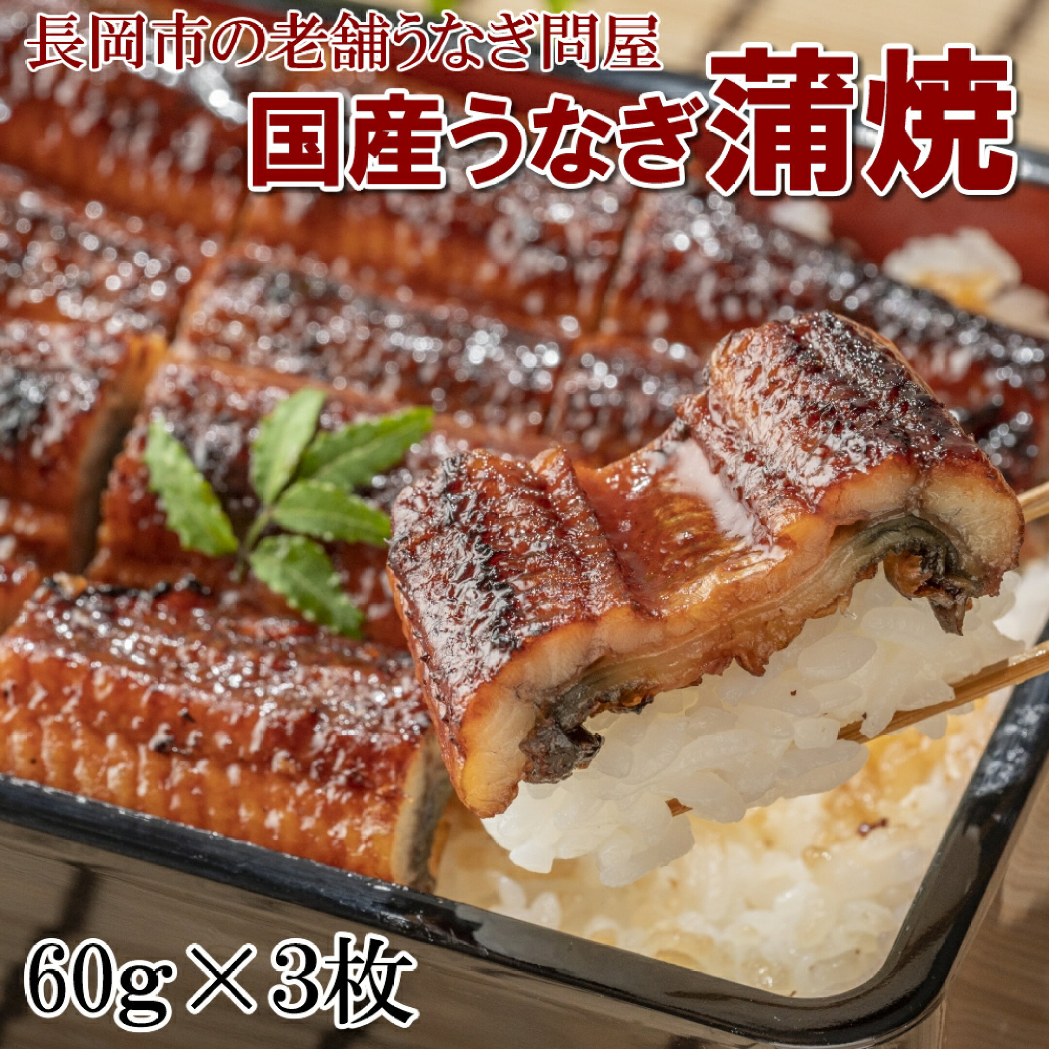 国産うなぎ蒲焼