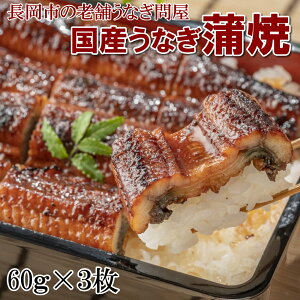 YȂăn[tTCY3  Ȃ 60g×3@R 3 |Ղ̊ Ȃ̎|Ղ `̃^ EiM V yYnzyⓀzܖ90 ς 2