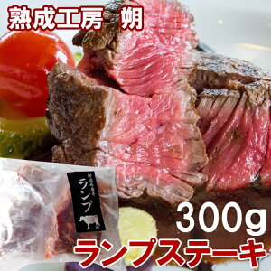 yYnzyⓀzVYiYjvXe[L300g unH[vi2300gjґ ؂ Xe[L  ē Mtg 񂹃O    Ε j 蕨 v