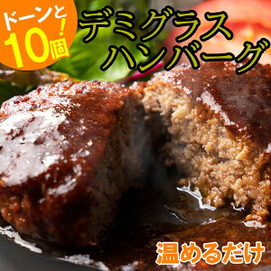 eʁIύ݃no[OHה10Zbg iⓀjf~\[X@1170g 10 ΏẴno[Oύ݃no[Oɂ܂ f~OX\[X@t[hRlNg  V s 