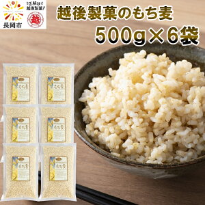 yYnzz㐻ف@VY͂˂܂ij500g×6 i3kgj Y VY ` ނ Y 唞 `  `M H@ NǗ _CGbg e -O