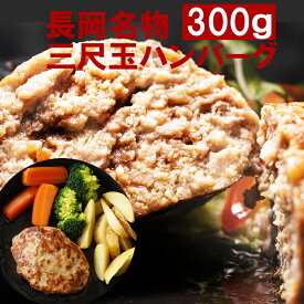 長岡花火三尺玉ハンバーグ300g Aセット(300g×3)【産地直送】【冷凍】「栃尾産にいがた地鶏 虎千代鶏」を使用したハンバーグ 温めるだけの簡単調理 冷凍グルメ