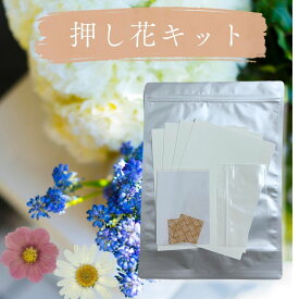 押し花キット 押し花初心者でも簡単作成 必要なセットを丸ごとお届け「そのまま使える押し花乾燥シート 押し花保管用袋　手貼りラミネートフィルム　押し花キット保管用アルミ袋　乾燥剤」田村商店