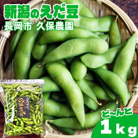 【1000円OFFクーポン】新潟県長岡市産 枝豆　1kg 久保農園 【冷蔵】鮮度 えだまめ エダマメ えだ豆 産地直送 農家直送 採れたてのえだ豆をすぐにお届け ※発送後5日をめどにお召し上がりください 母の日 父の日 プレゼント ギフト