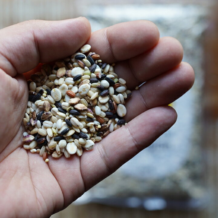 楽天市場】もちもち16穀米×2袋（500g×2個）1kg もち麦 丸麦 きび 