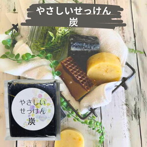 ₳i݂͂ Y JfjΌ Y 80g R[hvZX@ ΂  qɂ 100VR g  ܂őSgg Ό At@XuCg 