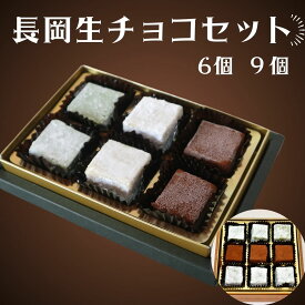 酒かす生チョコ・生チョコセット フランス菓子 ダンファン ほうじ茶チョコ 抹茶チョコ 生チョコの贅沢セット 高級チョコレート 洋菓子 生チョコ 生チョコレート プレゼント プチギフト お返し 高級 母の日 父の日