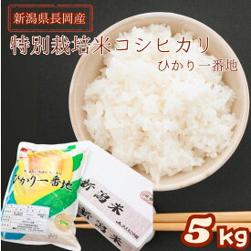 【産地直送】長岡産コシヒカリ 5kg 10kg(ひかり一番地）特別栽培米 令和7年新米 特栽米 白米 新潟県 コシヒカリ 白米 精米 米 こしひかり 化学肥料・農薬を低減 えちご中越農業協同組合 JAえちご中越