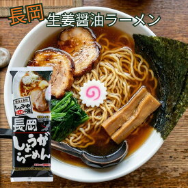 【1000円OFFクーポン】長岡しょうがらーめん 2袋（4人前）6袋（12人前） 乾麺 新潟五大ラーメン しょうが醤油ラーメン 生姜 醤油 ラーメン メール便 送料無料 長期保存 常温保存 松代そば善屋 ながおか ラーメン 贈り物 ギフト