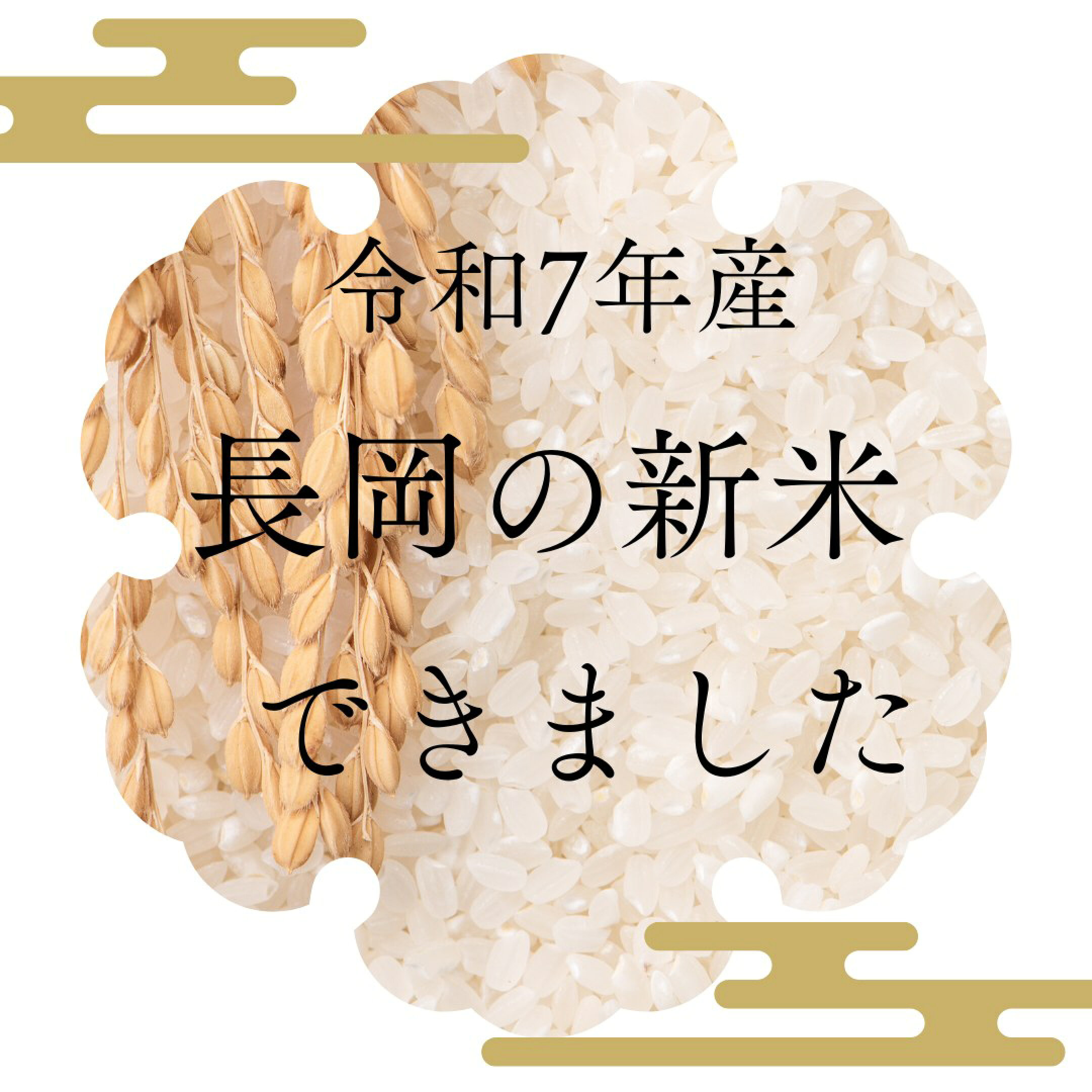 令和7年産 新米特集
