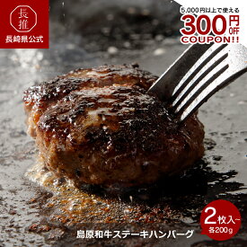【数量限定★全品対象1,000円OFF！3,980円で使えるクーポン配布中】【長崎県公式】お肉工房 梅桜亭 島原和牛ステーキハンバーグ 2枚 4枚 | 国産牛 九州産黒毛和牛 牛肉 100％ ビーフ100％ ゴツゴツ 粗挽き 高級 牛100% 美味しい 冷凍 肉 贈答用 贈り物 デミソース デミグラス