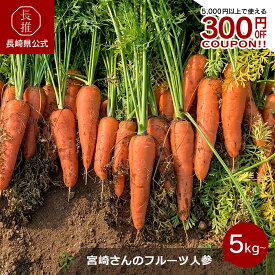 【長崎県公式】宮崎農園 宮崎さんのフルーツ人参 5kg 10kg | 糖度の高い 人参 甘い にんじん 国産 野菜 直売 産地直送 フルーツ 子供