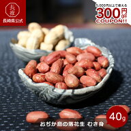【ポイント5倍 4/14 20:00〜4/17 09:59】【長崎県公式】小値賀町担い手公社　おぢか島の落花生 むき身　4…