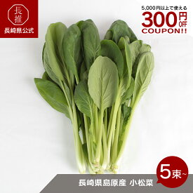 【長崎県公式】田中農園 長崎県島原産の小松菜　5束/10束セット