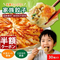 ＼マラソン限定50%OFF／ 餃子 野菜 国産 ( 30個 × 1袋 ) 60個 90個 冷凍餃子 大豆ミート ヘルシー 国産…