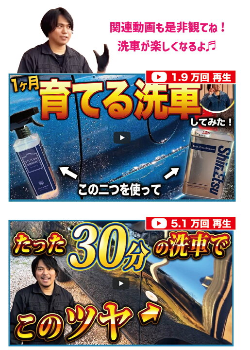 ながら洗車 艶特化 コーティング 新作 カルナバロウ レジン シリコン 