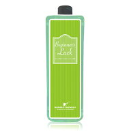 【ながら洗車】ビギナーズラック『 あっという間に終わる洗車体験を 』コーティング剤 1000ml