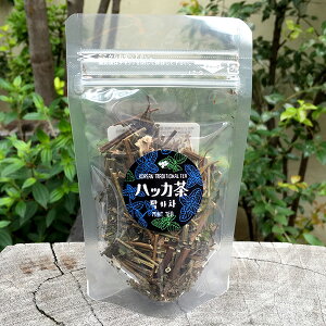 ハッカ茶 10g 袋入★素材そのままの韓国伝統茶 韓茶 韓国のお茶 韓国伝統茶 薄荷 ミント mint メントールl リラックス 口臭予防 消化を促進 吐き気を抑える 鎮痛作用 男性にも人気 保存料無添