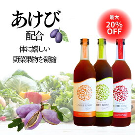 10%OFFクーポン配布中★【CORE KOSO 720ml】完全 無添加 ファスティング 酵素 ドリンク ダイエット 断食 置き換え おすすめ 健康 美容 食品 グレースセレクト GRACE SELECT コア 酵素 原液 100％ お試し 3日 あけび アケビ 果物 《送料無料》