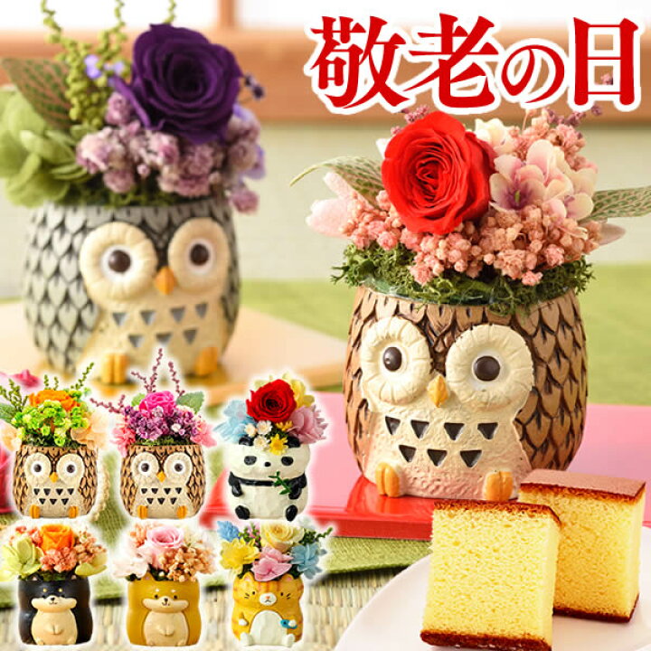 楽天市場 敬老の日 プレゼント 花 孫 ギフト 食べ物 スイーツ プリザーブドフラワー プリザ 花とスイーツset 和菓子 お菓子 メッセージカード 贈り物 動物プリザ 長崎カステラ セット 選べる ふくろう フクロウ 犬 柴犬 送料無料 Krcc カステラ専門店 長崎 心