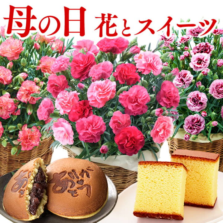 楽天市場 母の日 プレゼント カーネーション 5号鉢 鉢植え ギフト 花 セット スイーツ 和菓子 食べ物 スイーツギフト 母の日ギフト プリザーブドフラワー 生花 長崎カステラ お菓子 母 母親 義理母 義母 50代 60代 70代 80代 花とスイーツ Mdit カステラ専門店