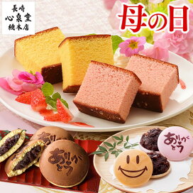 楽天市場 母の日 プレゼント ギフト スイーツ 花以外 食べ物 最中 もなか どら焼き どらやき カステラ 詰合せ 詰め合わせ 食品 老舗 母親 母 誕生日 記念日 50代 60代 70代 80代 カーネーション 選べる 和菓子 セット まごころ Mdxz カステラ専門店 長崎 心泉堂