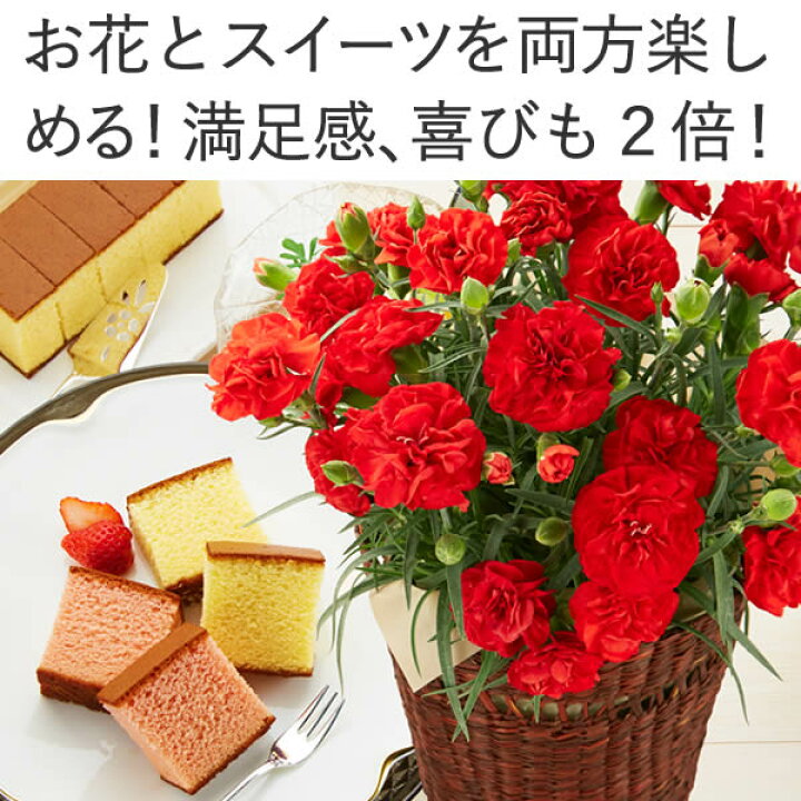 楽天市場 遅れてごめんね 母の日 プレゼント カーネーション ギフト 花 スイーツ 鉢植え 和菓子 セット 食べ物 鉢花 プリザーブドフラワー ハーバリウム リース 送料無料 誕生日 長崎カステラ 母 祖母 お菓子 花とスイーツ Md12 カステラ専門店 長崎 心泉堂