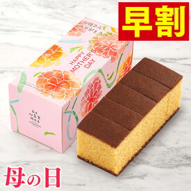 母の日 早割 プレゼント [ カステラ 1500円 ギフト 食べ物 スイーツ 和菓子 お菓子 食品 グルメ 母 義母 お母さん 40代 50代 60代 70代 80代 贈り物 老舗 高級 お取り寄せ ランキング 長崎心泉堂 ] 幸せの黄色いカステラ ハーフ サイズ 0.3号 5切 MDTY