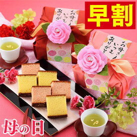 【ポイント10倍★4/22(月)7:59まで】 母の日 早割 カステラ 和菓子 [ ギフト プレゼント スイーツ お菓子 母 義母 お母さん 人気 食べ物 贈り物 スイーツギフト 記念日 誕生日 ランキング 長崎心泉堂 ] 長崎カステラ ハーフ 0.3号 2本 風呂敷包み あかね MDPA