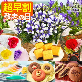 敬老の日 花 お菓子 [ 早割 りんどう スイーツ プレゼント 鉢植え 花鉢 プリザーブドフラワー シャボンフラワー ギフト 生花 選べるセット set 和菓子 鉢花 長崎心泉堂 ランキング ] 花とスイーツ セット KRD8