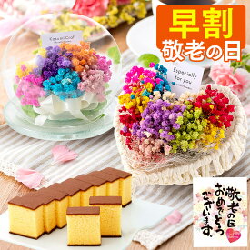 敬老の日 花 お菓子 [ 早割 ギフト プレゼント スイーツ セット 和菓子 お菓子 誕生日プレゼント プリザーブドフラワー 送料無料 カステラ ギフト お祝い 祖母 おばあちゃん ランキング 長崎心泉堂 ] カスミソウと長崎カステラ KRKZ