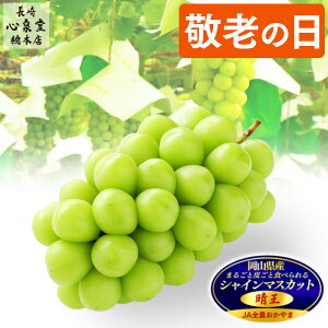 hV̓ t[c VC}XJbg [ sI[l ʕ v[g Mtg  R p 嗱 ʕ ϔ Hו O Ԃǂ  햳 炲 Hׂ N[ L