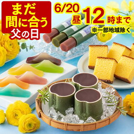 父の日 まだ間に合う 2026 ようかん カステラ [ 和菓子 お菓子 スイーツ プレゼント ギフト 父 お父さん 義父 羊羹 あんこ 餡子 国産 スイーツギフト 誕生日 ランキング 長崎心泉堂 ] セット FD4M
