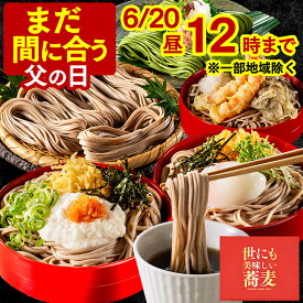 父の日 まだ間に合う 2026 そば [ 蕎麦 8人前 プレゼント グルメ ギフト 乾麺 食べ比べ 食べ物 詰め合わせ お取り寄せ お祝い 誕生日 手土産 無添加でヘルシー ランキング 長崎心泉堂 ] 4種 セット FDC3