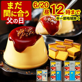父の日 まだ間に合う 2026 プリン [ スイーツ お菓子 ギフト 洋菓子 和菓子 カステラ スイーツギフト ブリュレ プレゼント 詰め合わせ 父 義父 お父さん ランキング 長崎心泉堂 ] ブリュレプリンとカステラ セット FDRX