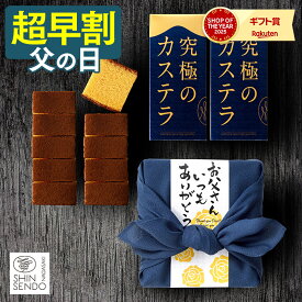 父の日 2026 カステラ ギフト [ 早割 お菓子 和菓子 プレゼント 人気 食べ物 スイーツ セット お父さん 父 義父 贈り物 記念日 誕生日 送料無料 手土産 高級 ランキング 長崎心泉堂 ] 五三焼カステラ 0.3号 ハーフ 2本 風呂敷包み 令香 FDTT