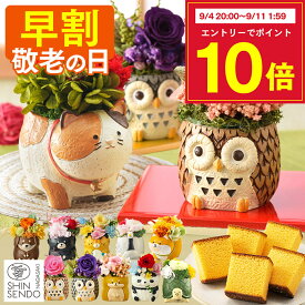 【9/8お値段上がります】 敬老の日 花 [ 早割 プリザーブドフラワー ギフト プレゼント カステラ お菓子 和菓子 ギフト メッセージカード 食べ物 スイーツ プリザ 50代 60代 70代 80代 90代 長崎心泉堂 ランキング 2026 ] 選べる 動物プリザ スイーツ セット KRAF