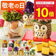 敬老の日 花 [ まだ間に合う プリザーブドフラワー ギフト プレゼント カステラ お菓子 和菓子 ギフト メ…
