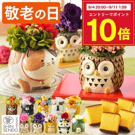 敬老の日 花 [ まだ間に合う プリザーブドフラワー ギフト プレゼント カステラ お菓子 和菓子 ギフト メッセージカード 食べ物 スイーツ プリザ 50代 60代 70代 80代 90代 長崎心泉堂 ランキング 2026 ] 選べる 動物プリザ スイーツ セット KRAF
