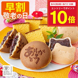 【9/8お値段上がります】 敬老の日 和菓子 [ 早割 ギフト お菓子 プレゼント カステラ どら焼き 最中 スイーツ ギフトセット 祖父 祖母 おじいちゃん おばあちゃん 50代 60代 70代 80代 敬老の日までにお届け ランキング 長崎心泉堂 2026 ] スイーツセット まごころ KRB6