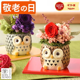 敬老の日 花 [ ギフト プレゼント プリザーブドフラワー プリザ 贈り物 選べる ふくろう フクロウ 送料無料 メッセージカード 祖母 おばあちゃん 贈り物ランキング 長崎心泉堂 2026 ] 動物プリザ KRGM