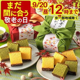 敬老の日 カステラ 和菓子 [ まだ間に合う ギフト プレゼント スイーツ お菓子 祖父 祖母 おじいちゃん おばあちゃん 贈り物 スイーツギフト ランキング 長崎心泉堂 2026 ] 長崎カステラ ハーフ 0.3号 2本 風呂敷包み あかね KRXK