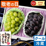 敬老の日 フルーツ シャインマスカット [ 果物 プレゼント ギフト 岡山 贈答用 大粒 果物 化粧箱入 ぶど…
