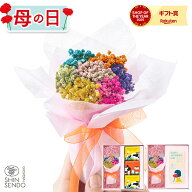 母の日 プレゼント [ 花 プリザーブドフラワー ギフト お菓子 カステラ プリン 食べ物 スイーツ プリザ …