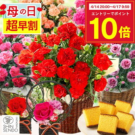 【4/17お値段上がります】 母の日 花 お菓子 [ 早割 カーネーション スイーツ プレゼント 鉢植え 花鉢 プリザーブドフラワー シャボンフラワー ギフト 生花 選べるセット set 和菓子 鉢花 長崎心泉堂 ランキング ] 花とスイーツ セット MD12