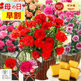 【4/23お値段上がります】 母の日 花 お菓子 [ 早割 カーネーション スイーツ プレゼント 鉢植え 花鉢 プリザーブドフラワー シャボンフラワー ギフト 生花 選べるセット set 和菓子 鉢花 長崎心泉堂 ランキング ] 花とスイーツ セット MD12