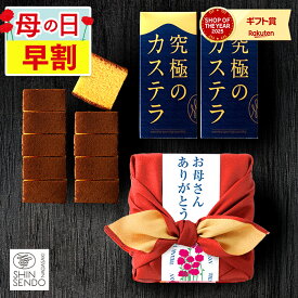 母の日 カステラ 和菓子 [ 早割 ギフト お菓子 風呂敷 プレゼント 人気 母 義母 お母さん 食べ物 スイーツ セット 贈答 お祝い ランキング 長崎心泉堂 ] 五三焼カステラ 0.3号 ハーフ 2本 風呂敷包み 令香 MDAG