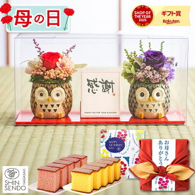 母の日 フラワー ギフト [ プレゼント 花 プリザーブドフラワー ふくろう フクロウ 長寿祝い 送料無料 贈り物 ランキング 長崎心泉堂 ] ふくろうペアプリザ MDAX