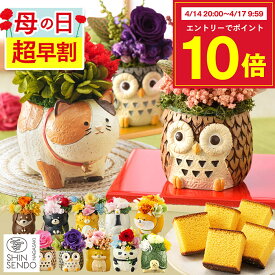 【4/17お値段上がります】 母の日 プレゼント [ 早割 花 プリザーブドフラワー ギフト カステラ お菓子 ギフト 食べ物 スイーツ プリザ カステラ 和菓子 長崎心泉堂 ランキング ] 選べる 動物プリザ スイーツ セット MDPE