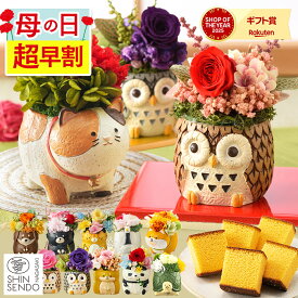 母の日 プレゼント [ 早割 花 プリザーブドフラワー ギフト カステラ お菓子 ギフト 食べ物 スイーツ プリザ カステラ 和菓子 長崎心泉堂 ランキング ] 選べる 動物プリザ スイーツ セット MDPE